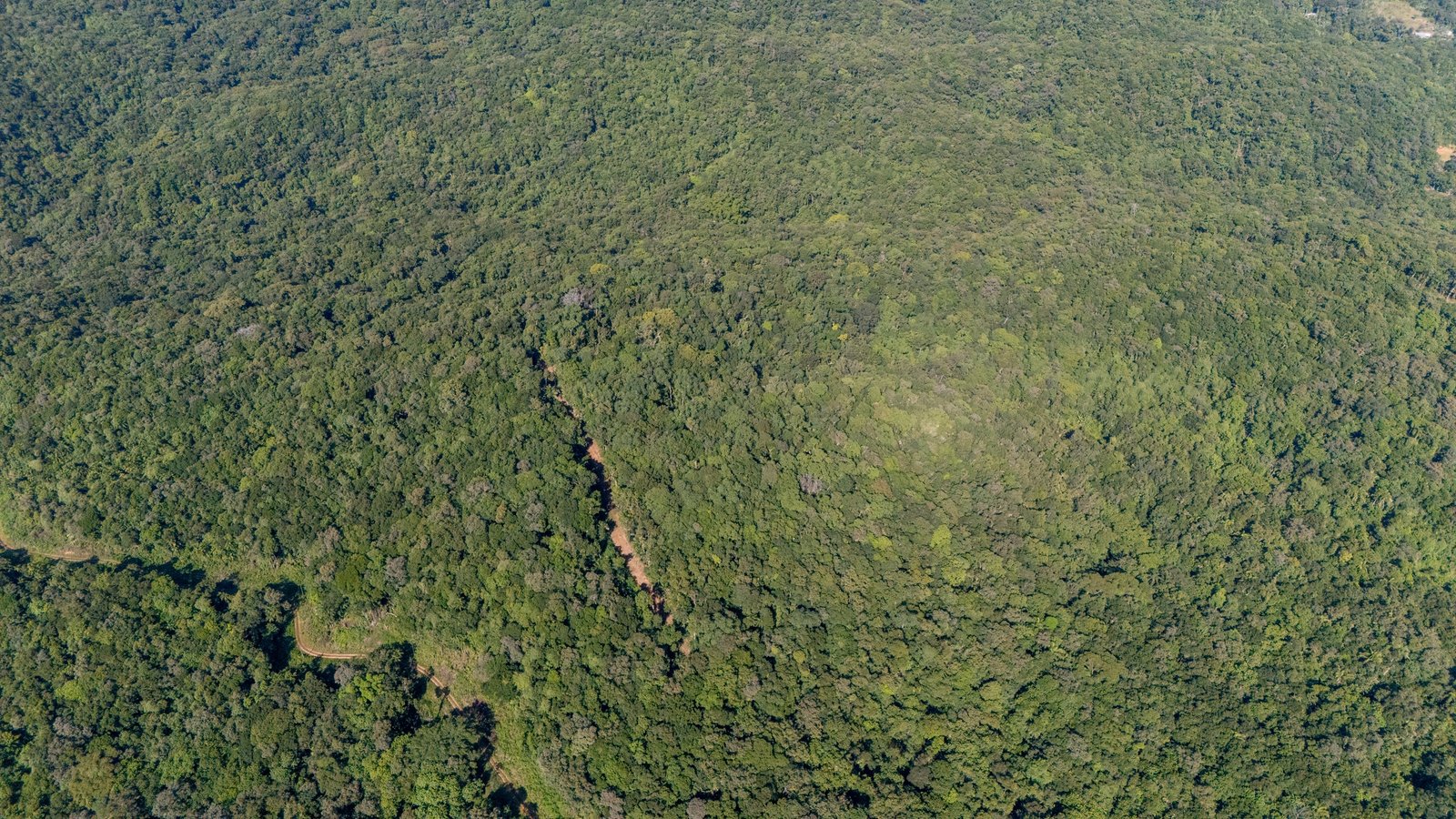 Vista aérea com mata, vales e montanhas em Morretes