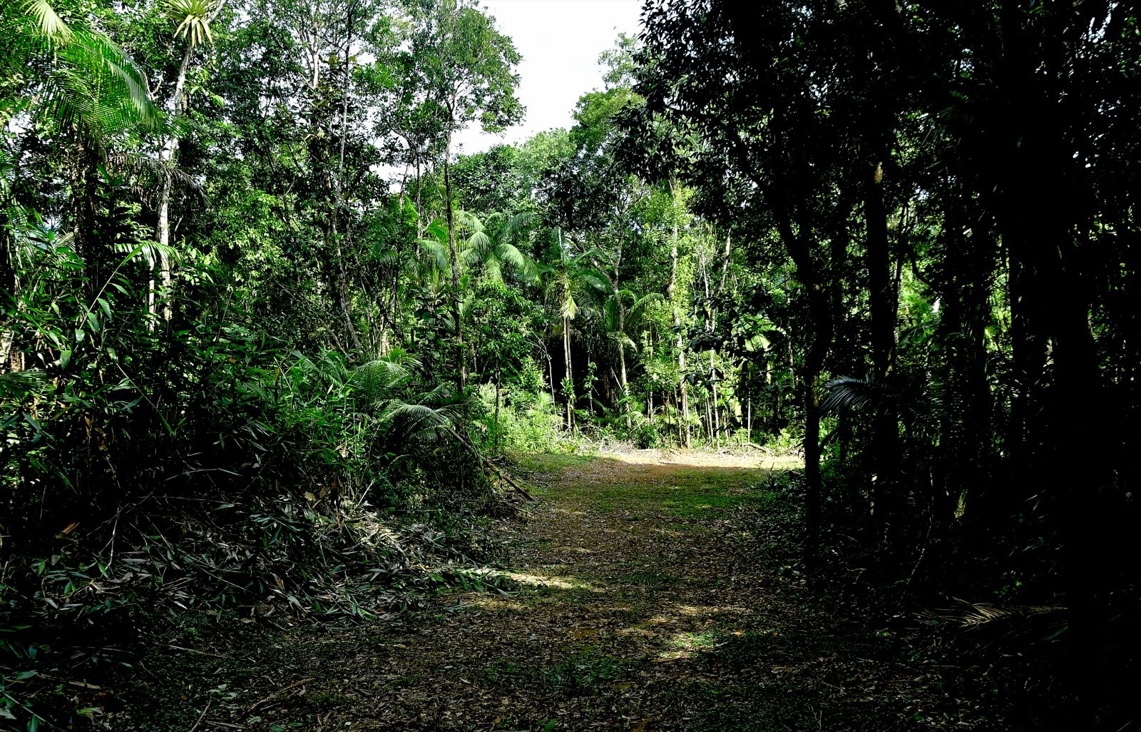 Água rasa passando entre pedras no terreno